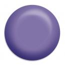Hard Purple